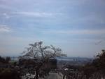 長峰霊園.jpg